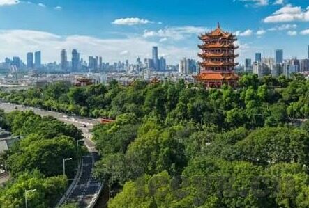 91麻豆国产毛片-91麻豆国产毛片，网络文化下的真实与幻想交集