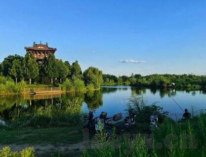 白云tv白云av麻豆-浅议网络视频生态的多元化发展，白云TV和麻豆的侧面观察