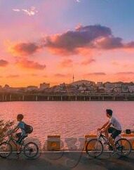 大象传媒apppalilpali-探索大象传媒APP，palilpali的独特魅力与未来展望