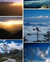 福利一区福利二区-福利一区与福利二区的差异与共性
