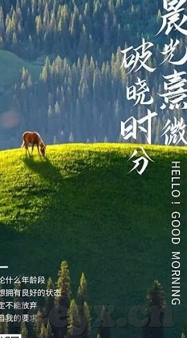 果冻传媒APP-探索果冻传媒APP，数字娱乐的新风尚