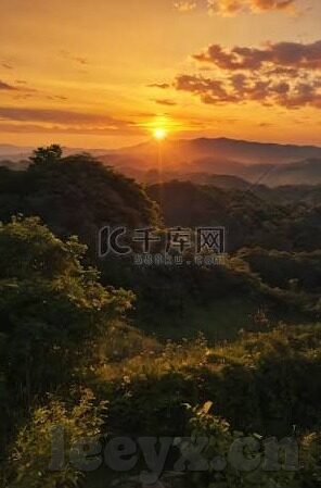 后入人妻在线-探索网络世界中的伦理边界，对后入人妻在线现象的深思