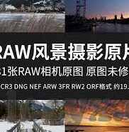 麻豆视频app下载-麻豆视频APP下载，探究当代互联网文化的新趋势
