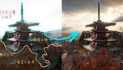 糖心下载安装app-糖心下载，应用探索与实用推荐